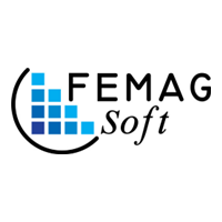 FEMAGSoft