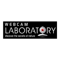 WebCam Laboratory