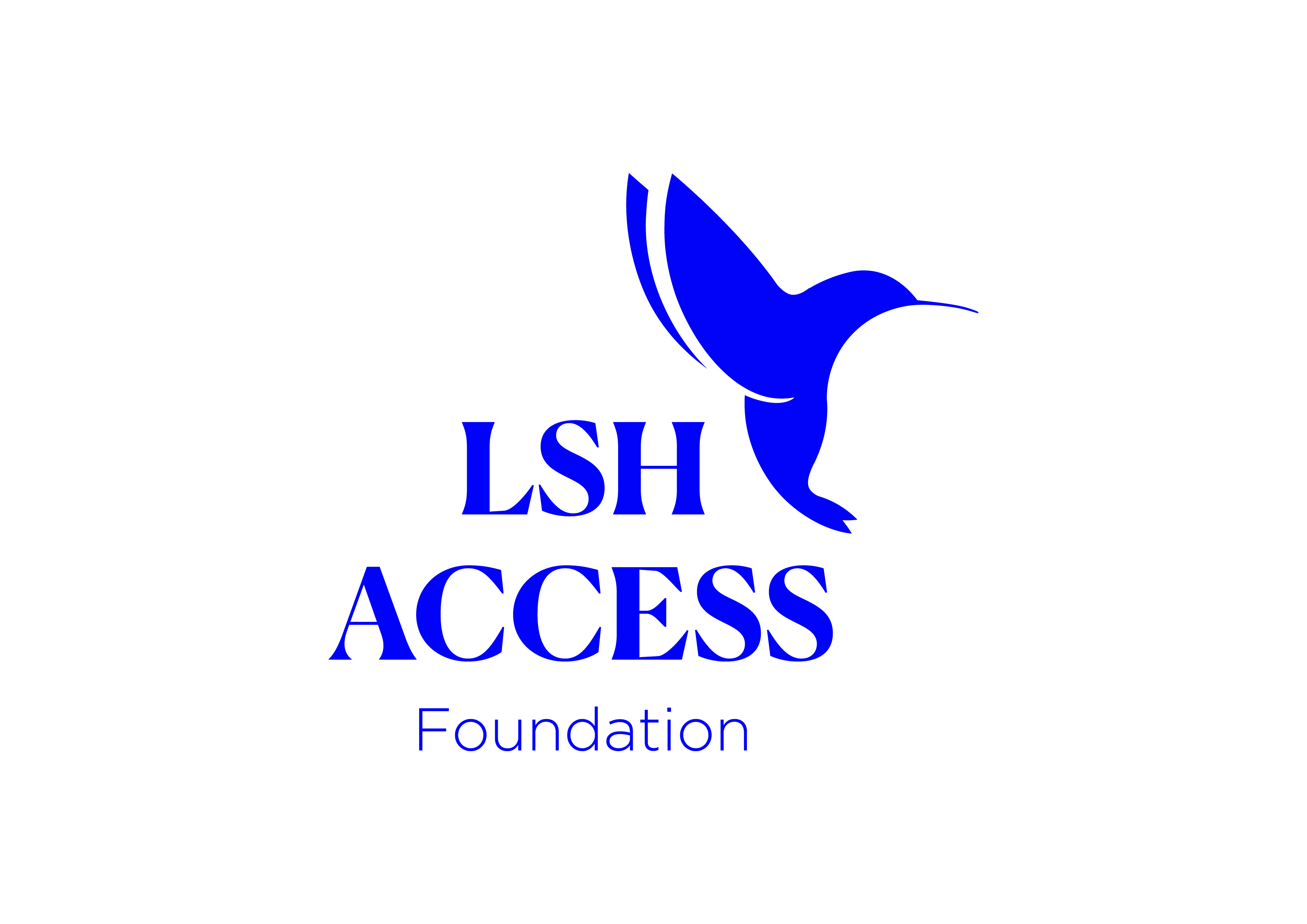 LSHAccess Foundation
